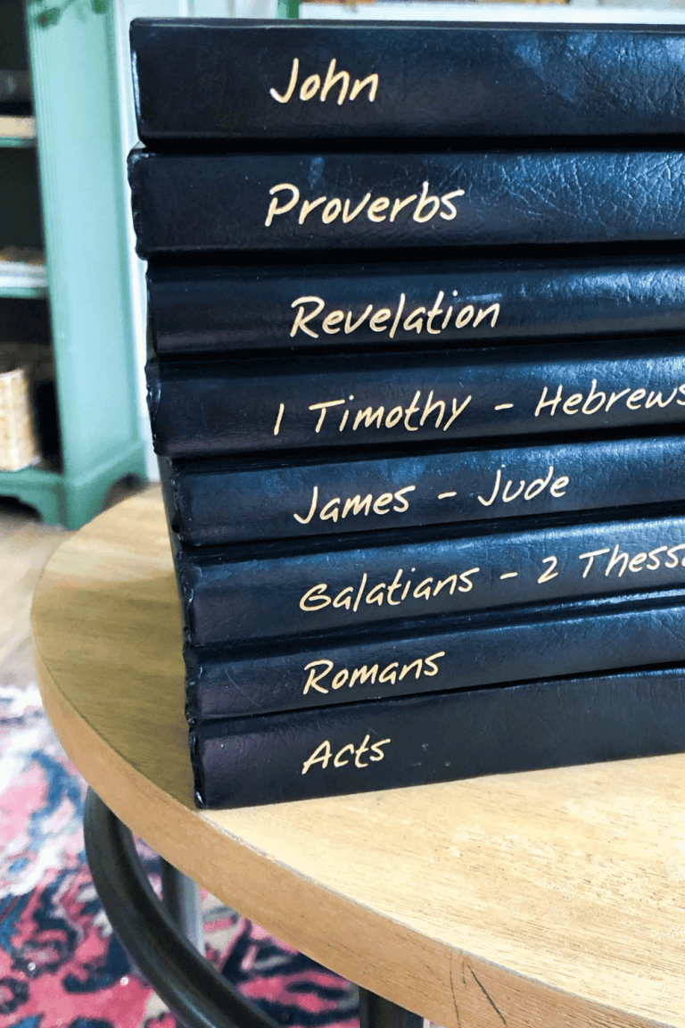 Journible Review for Writing Out the Bible