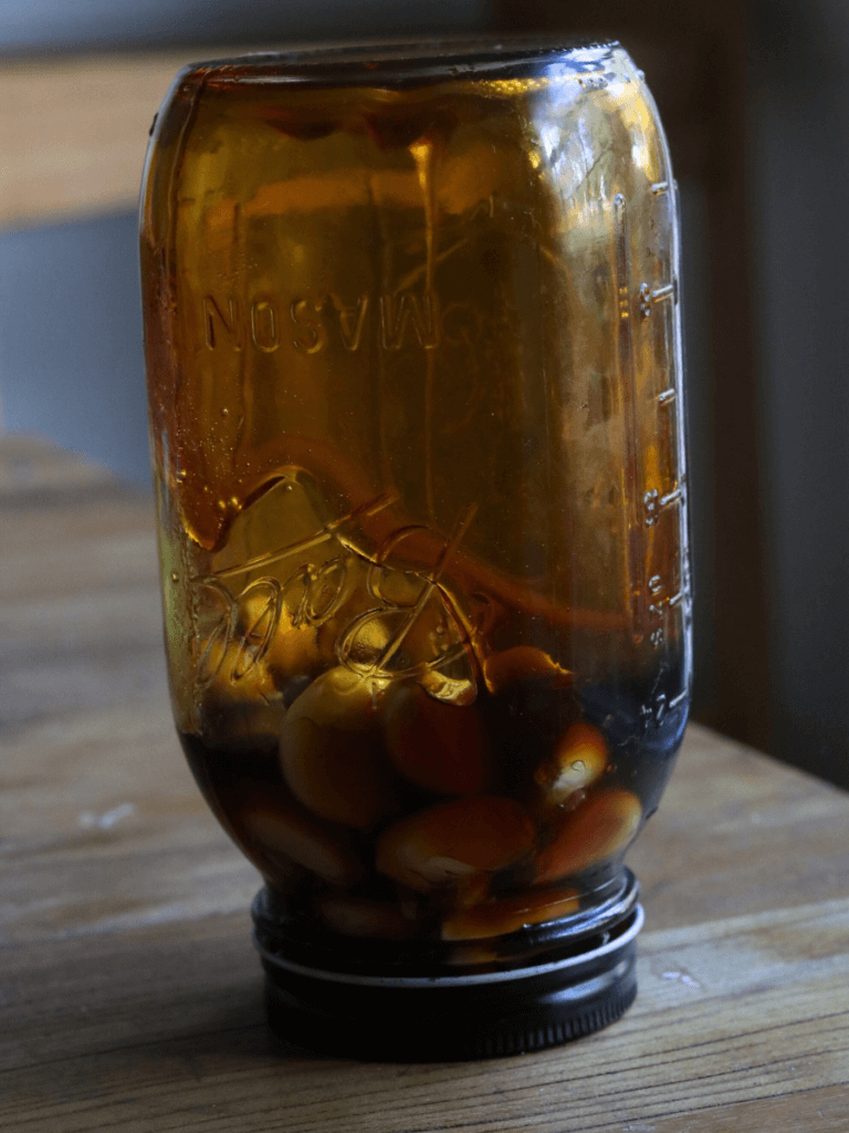 upside down fermented honey garlic