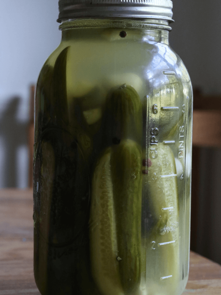 fermented pickles no vinegar