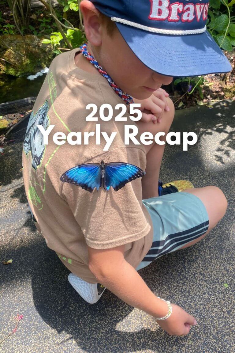 2025 Yearly Recap